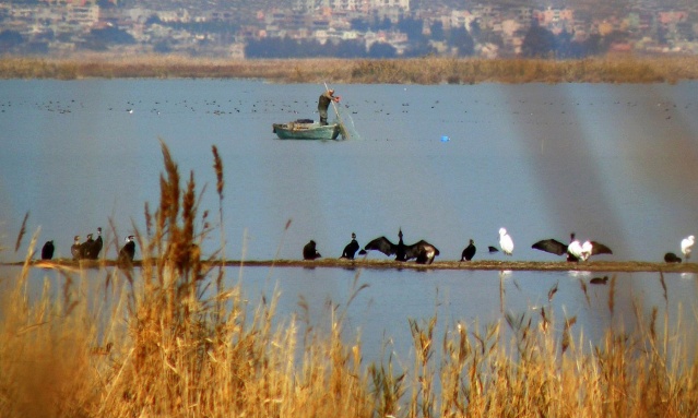 Mersin'i Gezelim