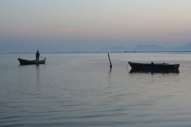 Deltada Yaşam