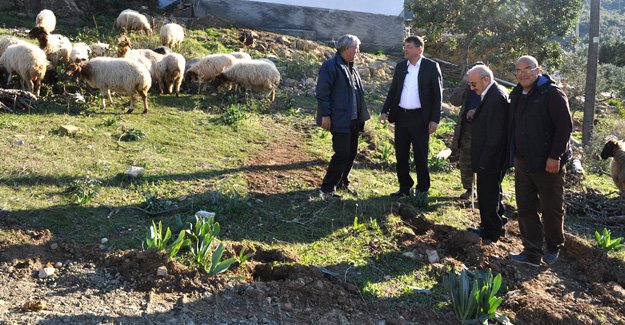 Başkan Turgut, Çalışmaları yerinde inceledi