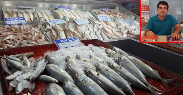 Deniz soğudu balık azaldı, Fiyat yükselince satış durdu