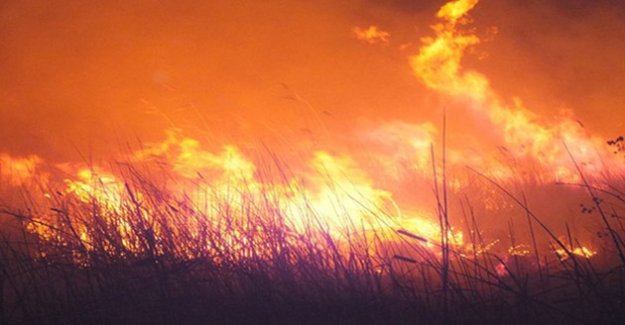 Dün gece Göksu Deltası’nda çıkan yangın söndü