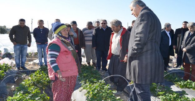 Kaymakam Cinbir, “Çiftçimize 850 bin 750 lira yardım yapıldı”