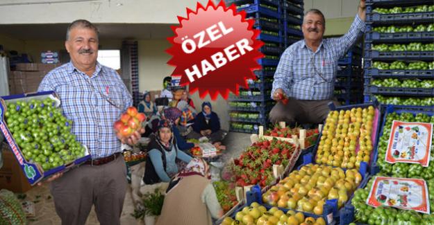 Türkiye'nin Meyve Cenneti Atayurt