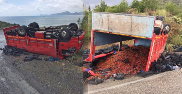 Bozyazı Gözce yolunda çilek kamyonu devrildi