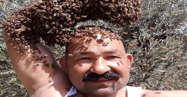 Arıları baş tacı yapan adam