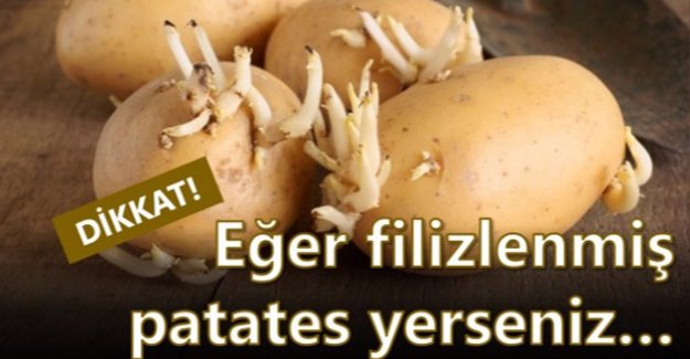 GÜVENLİ DİYE BİLDİĞİMİZ BAZI YİYECEKLERİN ZARARLARI