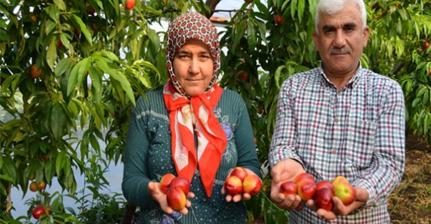 Üretici dertli: Aracı Üreticiden Daha Çok Kazanıyor