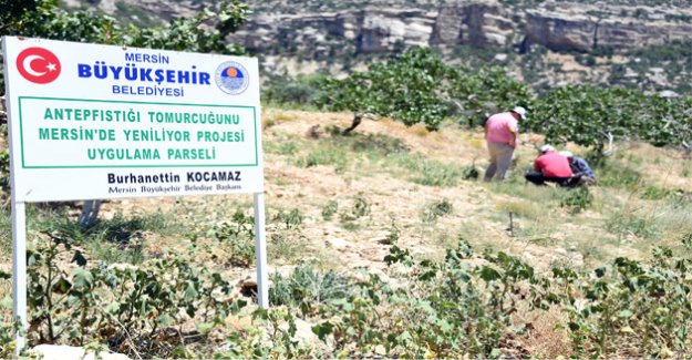 ÜRETİMDE BÜYÜKŞEHİR FARKI