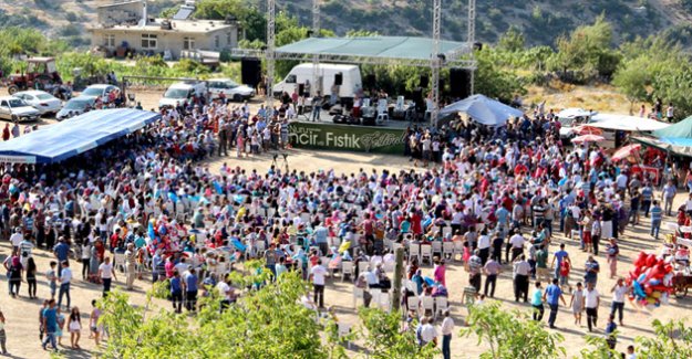 Silifke’de İncir ve Fıstık Festivali