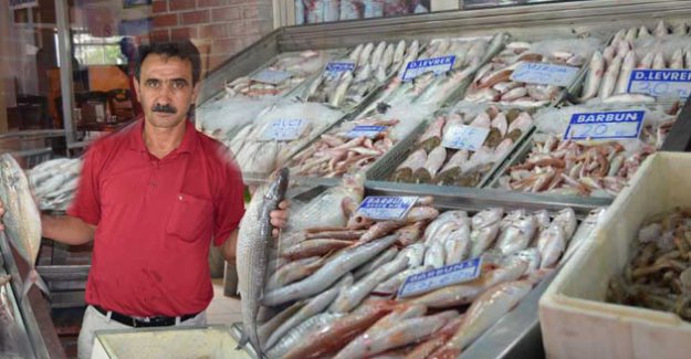 Balık Sezonu açıldı balıklar ucuzladı