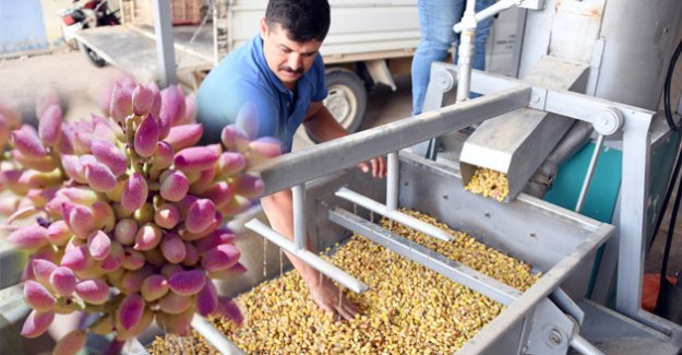 Mersin’de Antep Bereketi