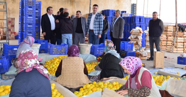 Atayurt Hali Revizyonla Modernleşecek