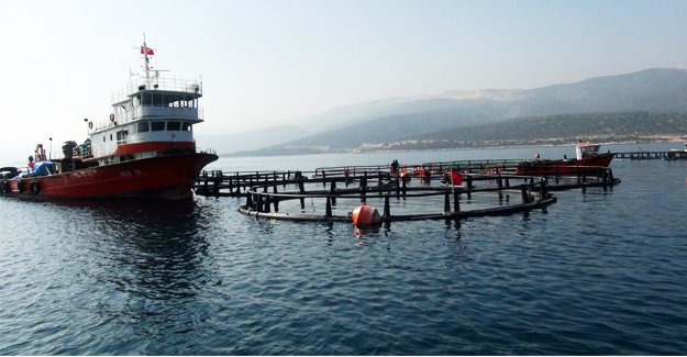 Taşucu sahilindeki balık çiftlikleri kaldırıldı