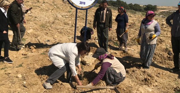 İçel Soroptimist Kulübü’nden Hatıra Ormanı