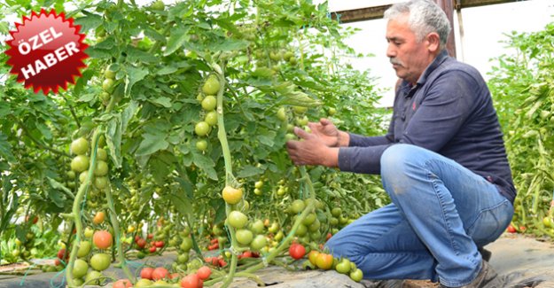 Hizmetin 20 Yıllık Adresi Arkum Muhtarı