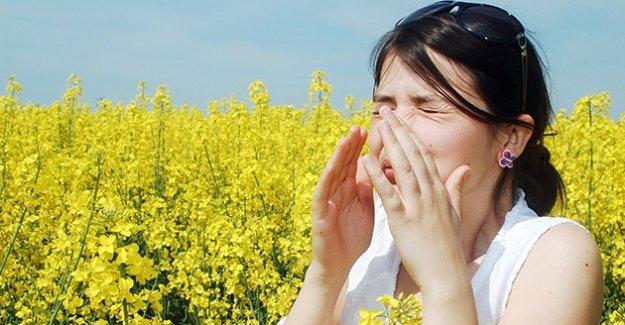 Türkiyede 4 kişiden biri alerjik hastalığa sahip
