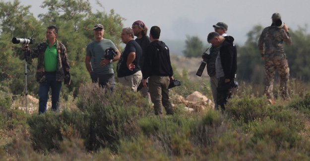 Çukurova’nın Kuşları Fotoğraflandı