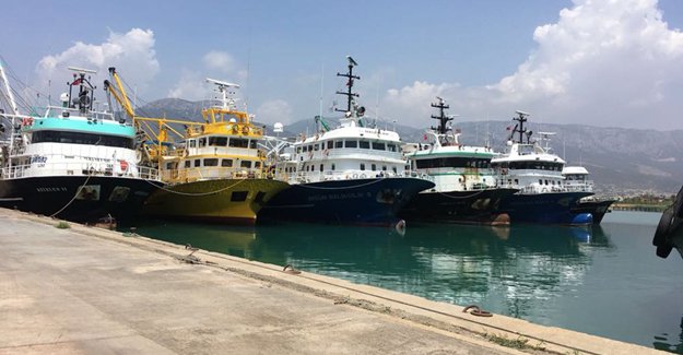 Orkinos sezonu Silifke’den başlıyor