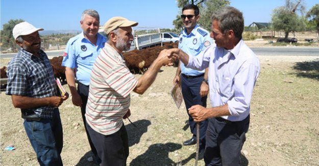 Mezitli Belediyesi, Kurban Bayramına Hazır