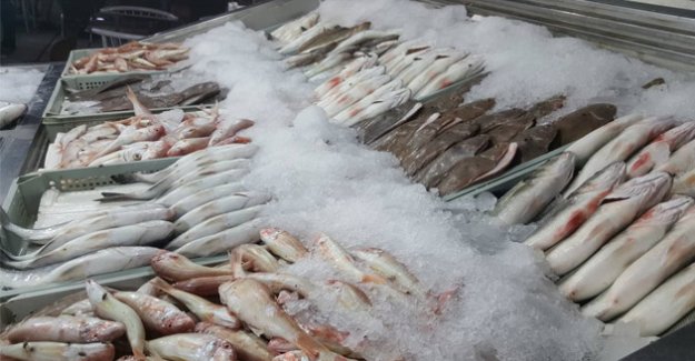 1 kilo et yerine 5 kilo balık al