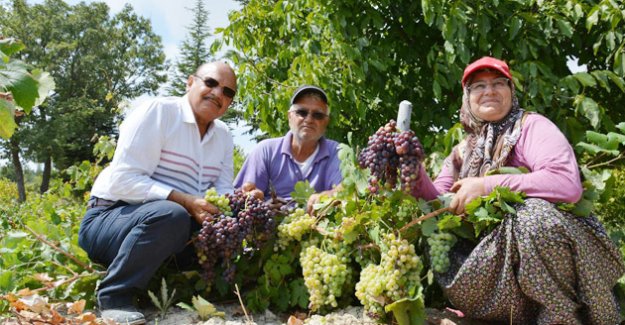 Başkan Günel, Üzüm ve Badem Üreticilerini Ziyaret Etti