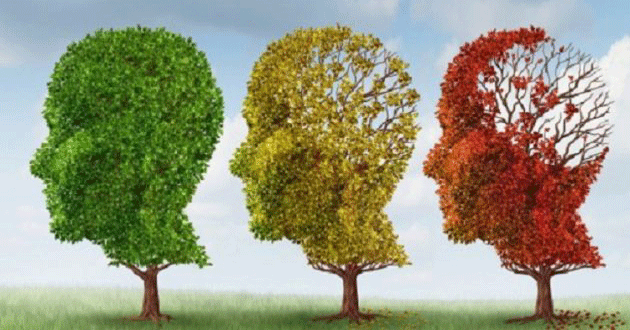 Yeni Alzheimer tedavisi belleği geri getiriyor!