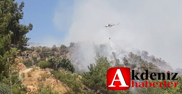 Silifke'de çıkan yangında 4 hektar alan zarar gördü
