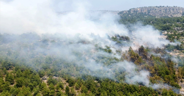 Silifke’de orman yangını