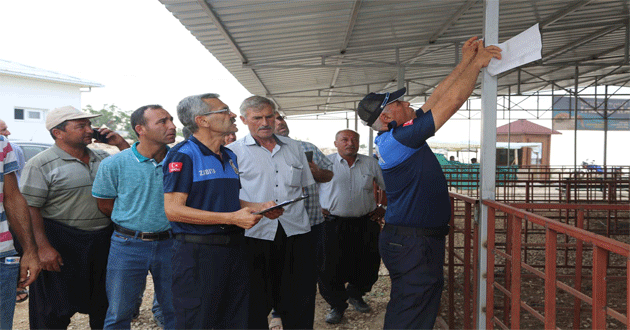 Kurban pazarı, Belediye ile Bayrama hazır