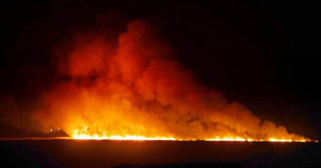 Mersin'de Ramsar Sözleşmesi'yle korunan deltada yangın