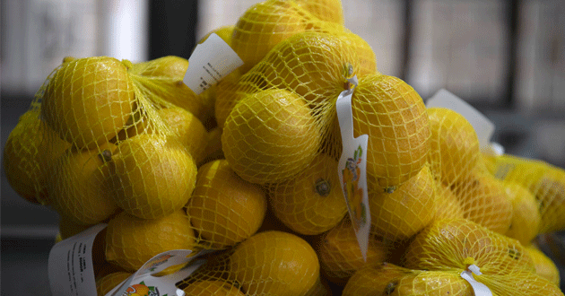 Ankara büyükşehir de Mersin’den 50 ton limon satın alacak