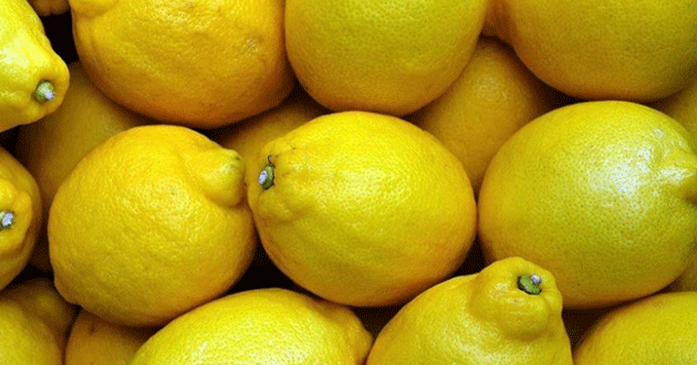 10 bin ton limon ihracatına izin