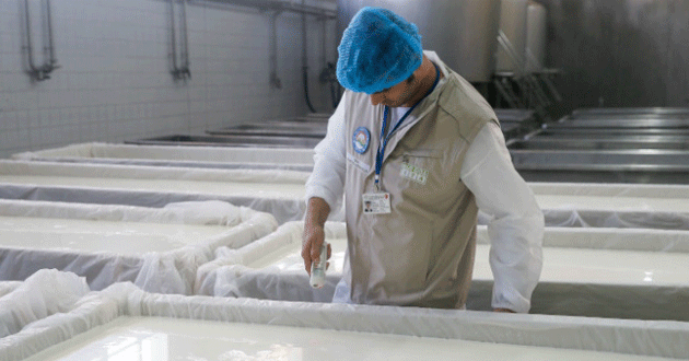 Süt üreticilerine yapılacak çiğ süt desteğinin esasları belirlendi