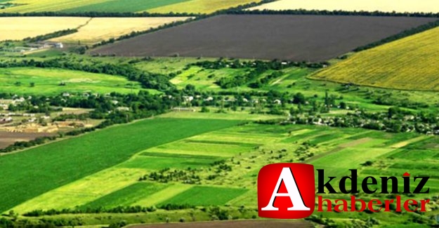 Hazineye Ait Tarım Arazileri, Topraksız Ve Yeterli Toprağı Olmayan Çiftçilere Kiralanacak