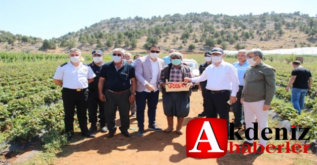 Kaymakam Nazlı’dan çiftçilere ziyaret