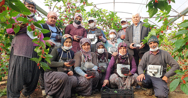 “Karadut diktim hamallıktan kurtuldum, cebim para gördü”