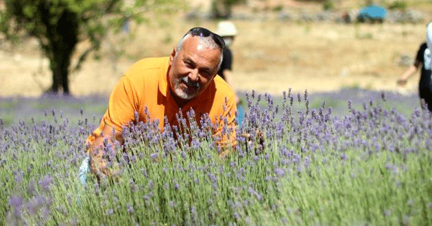 Gülnar'da lavanta üretimi artıyor