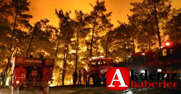 Mersin Aydıncık'ta dün çıkan orman yangını sürüyor
