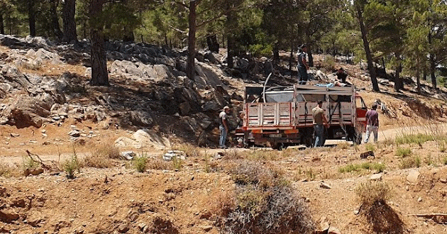 Yangın bölgesindeki hayvanlara yem desteği