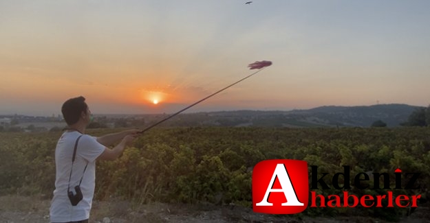 Elektrik Çarpan Leylekler için Nöbet