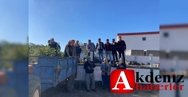 Silifke’de arazileri yangından etkilenen çiftçilere fidan yardımı yapıldı