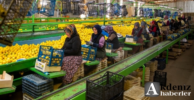 Büyükşehir ekipleri yaraları dayanışmayla sarıyor