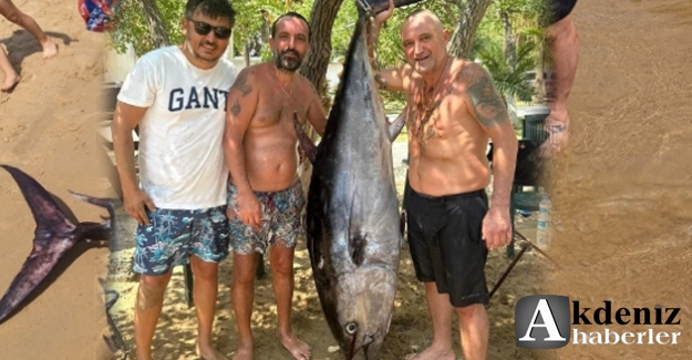 Mersin'de Dev Orkinos Balığı Yakalandı