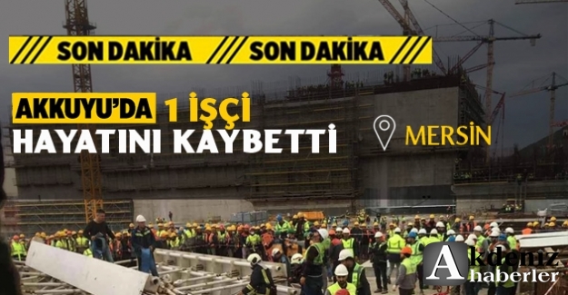 Akkuyu NGS'den açıklama