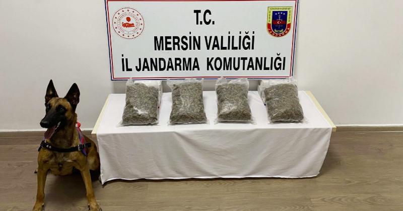 Jandarma'dan uyuşturucu madde operasyonu
