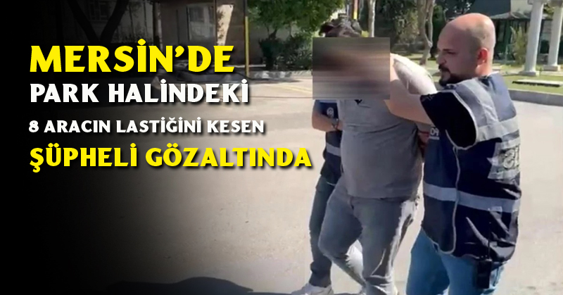 Güvenlik kamerasına takıldı