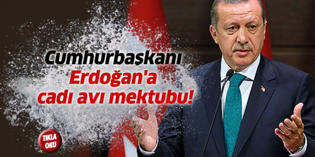 Cumhurbaşkanı Erdoğan'a cadı avı mektubu!