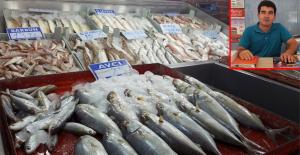 Deniz soğudu balık azaldı, Fiyat yükselince satış durdu