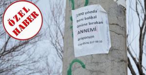 KENDİNİ  BAKKALA BIRAKAN ANNESİNİ ARIYOR