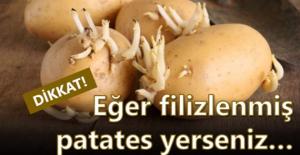 GÜVENLİ DİYE BİLDİĞİMİZ BAZI YİYECEKLERİN ZARARLARI